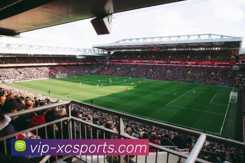 体育下注服务体系